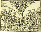 Myrrha accouche d'Adonis par son écorce (Ovide, Métamorphose, Lyon 1557)