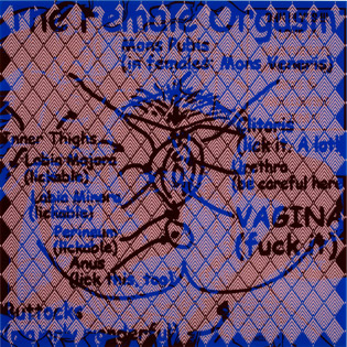 The Female Orgasm, acrylique sérigraphiée sur Plexiglas, 2011, 1,40 x 1,40 m